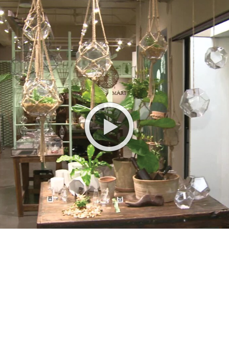 ShowRoom
